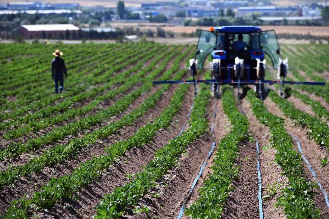 Ankara’da Çiftçilere Mazot Desteği İçin Başvurular Başladı
