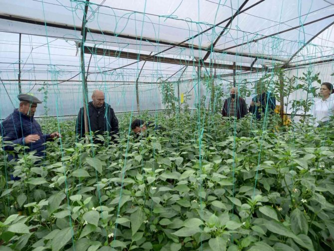 Batem Ve Tarsi̇m Ekipleri Antalya’da Sel Bölgesinde İncelemelerde Bulundu