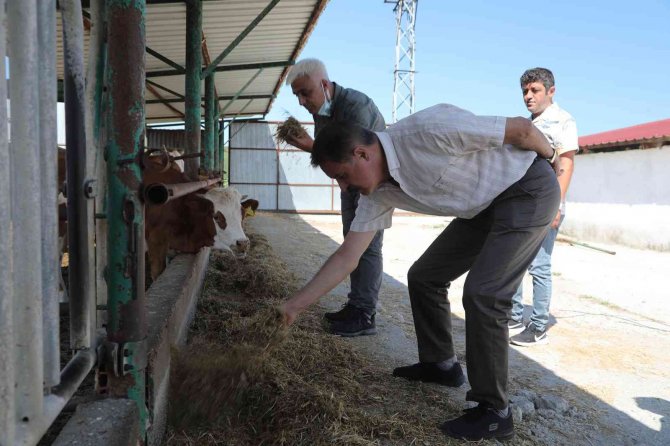 Atakum Belediyesi 2021’de Kırsal Üretime Güç Verdi
