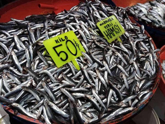 Balıkçılardan Fırtına Uyarısı