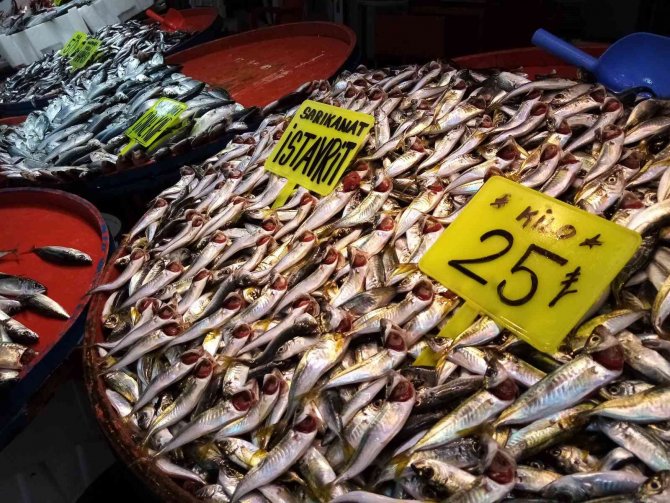 Balıkçılardan Fırtına Uyarısı