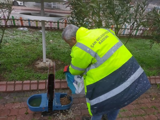 Çan Belediyesi Sokak Hayvanlarını Unutmadı