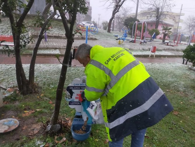 Çan Belediyesi Sokak Hayvanlarını Unutmadı