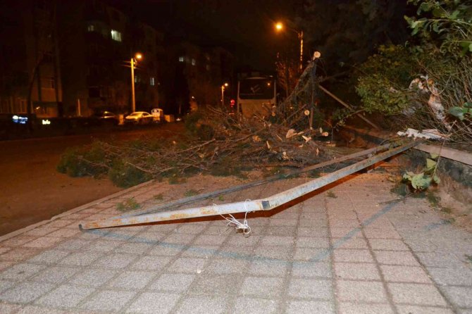 Çorlu’da Kuvvetli Fırtına: Ağaçlar Devrildi, Çatılar Uçtu, Direkler Devrildi