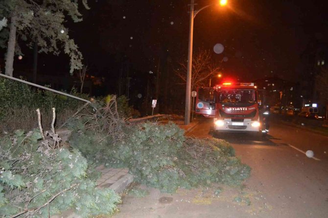Çorlu’da Kuvvetli Fırtına: Ağaçlar Devrildi, Çatılar Uçtu, Direkler Devrildi