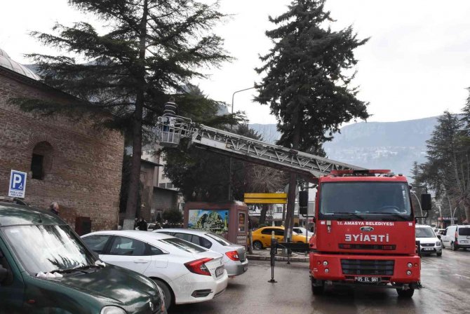 Amasya Belediyesi’nden Ağaçlara 100’den Fazla Kuş Yuvası