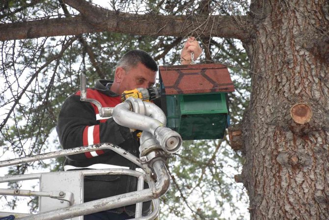 Amasya Belediyesi’nden Ağaçlara 100’den Fazla Kuş Yuvası