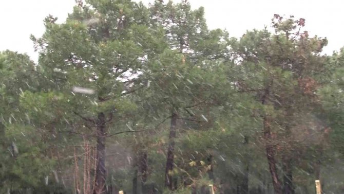 İ̇stanbul’da Beklenen Kar, Aydos Ormanına Yağdı