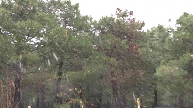 İ̇stanbul’da Beklenen Kar, Aydos Ormanına Yağdı