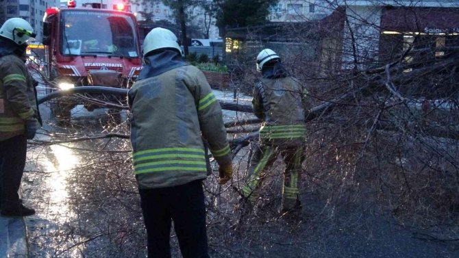 Kadıköy’de Şiddetli Fırtınanın Etkisiyle Ağaç Ve Elektrik Direği Devrildi