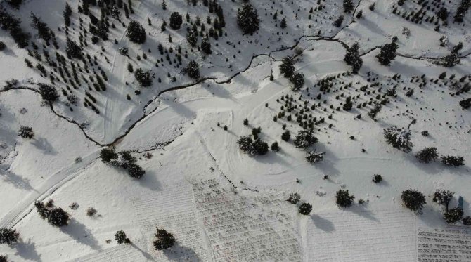 Toroslar Beyaza Büründü, Gezmeye Gelenler Karın Keyfini Çıkardı