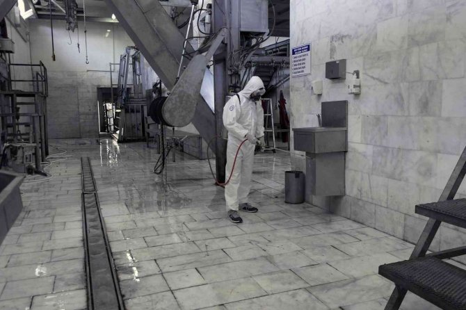 2021’de Büyükşehir Mezbahalarında 5 Milyon 671 Bin Kg. Et Üretildi