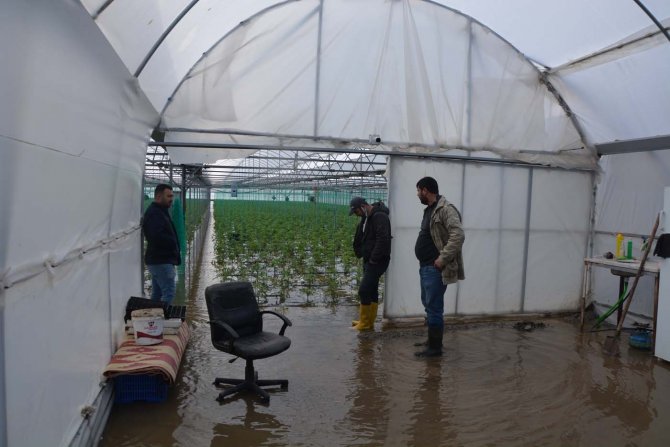 Ortaca’da Seralar Ve Narenciye Bahçeleri Su Altında Kaldı
