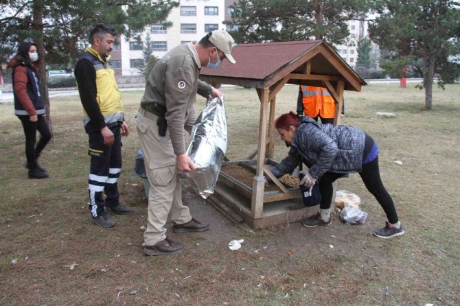 Kastamonu’da Sokak Hayvanları Unutulmadı