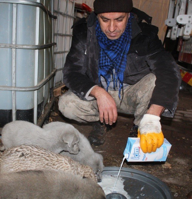 Toprak Altında Mahsur Kalan Yavru Köpekleri Belediye Ekipleri Kurtardı