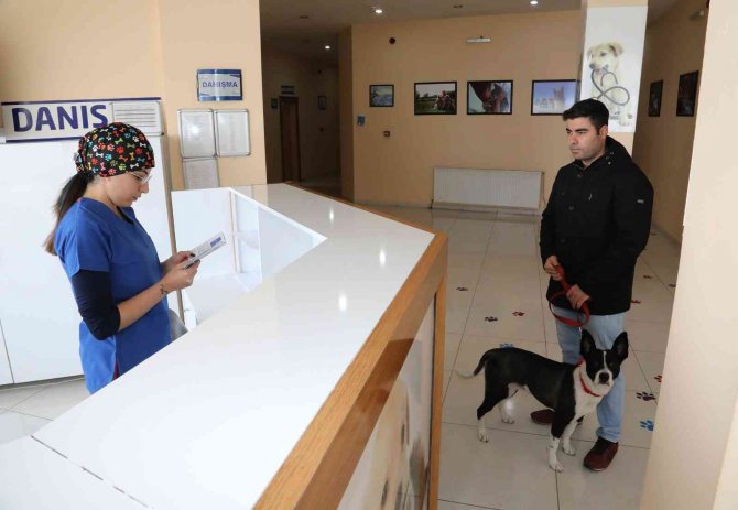 Van Büyükşehir Belediyesi Yasak Irkları Ücretsiz Kısırlaştırıyor