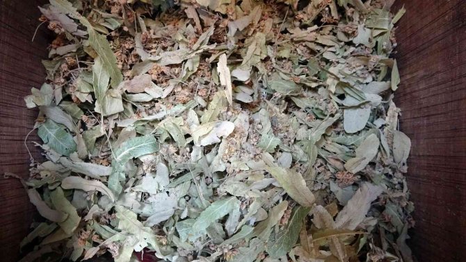 Yozgat’ta Kış Mevsimiyle Birlikte Bitki Çaylarına Rağbet Arttı