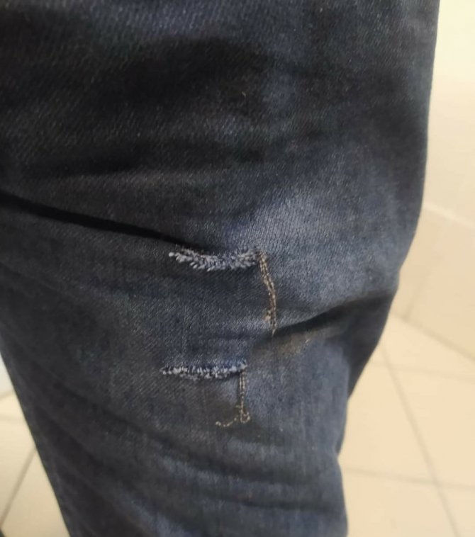 Bingöl’de Köpek Sürüsü, Evine Giden Adama Saldırdı