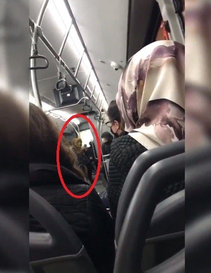 Belediye Otobüsünde Maskesiz Kadın Terörü