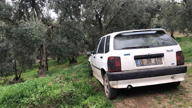 Gemlik’te Hırsızlara Darbe; 12 Kişi Yakalanarak Adliyeye Sevk Edildi