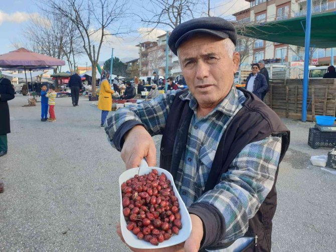 Dağlardan Gelen Şifa Kaynağı; Kuşburnu