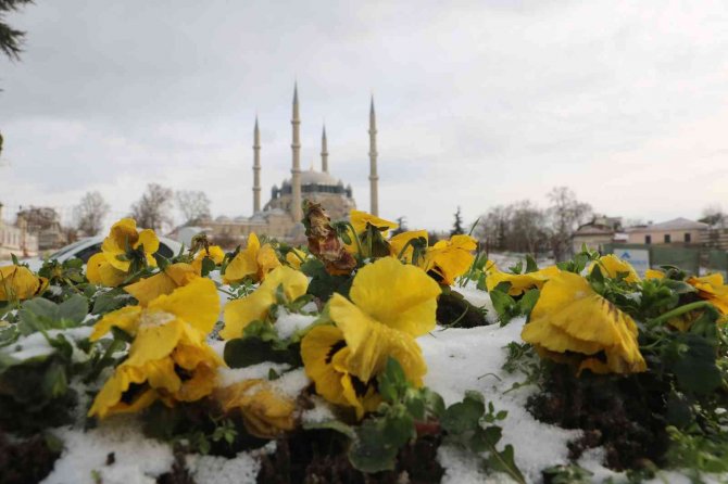 Edirne’de Nehirler, Yollar Ve Süs Havuzları Buz Tuttu
