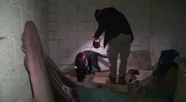 Erzurum’da Uyuşturucu Operasyonu: 7 Tutuklama