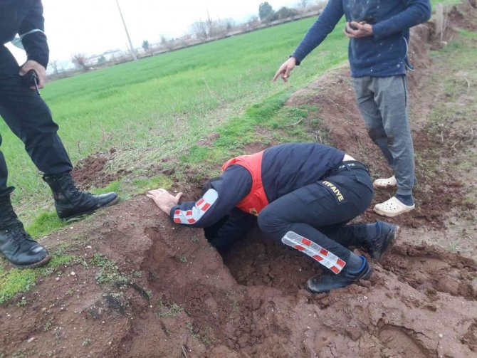 Göçük Altında Kalan Yavru Köpekleri İtfaiye Kurtardı
