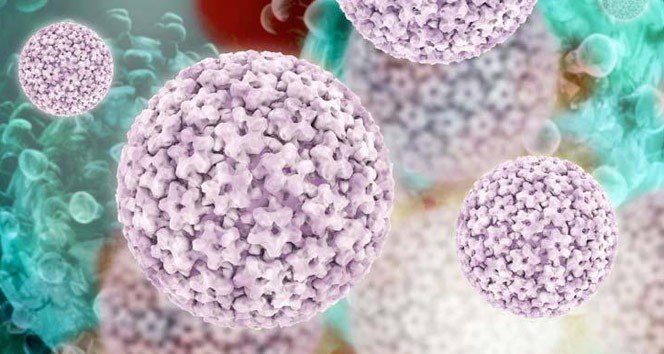 100 Kadından 98’i Hpv Virüsü İle Karşı Karşıya