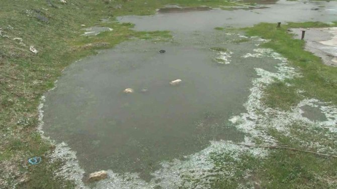 Soğuk Hava Çeşme Ve Su Birikintilerini Dondurdu