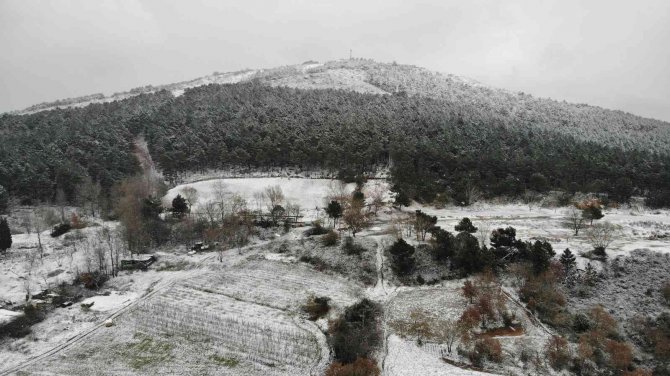 Kartal Aydos’ta Kar Yağışı Başladı, Tadını Ördekler Çıkardı