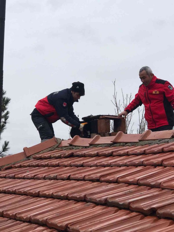 Bacaya Sıkışan Kediyi İtfaiye Kurtardı