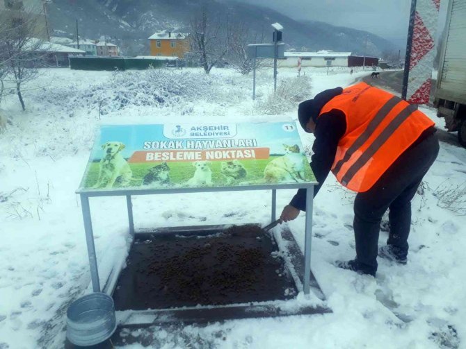 Akşehir’de Hayvanlar İçin Mama Ve Yemleme Çalışmaları Sürüyor