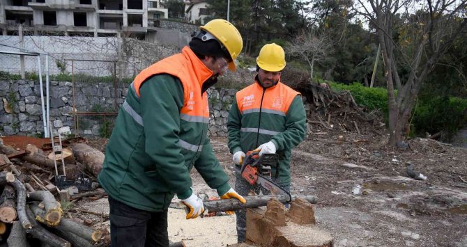 Kuşadası’nda Ağaç Atıkları İhtiyaç Sahipleri İçin Kara Kışta Yakacağa Dönüşüyor