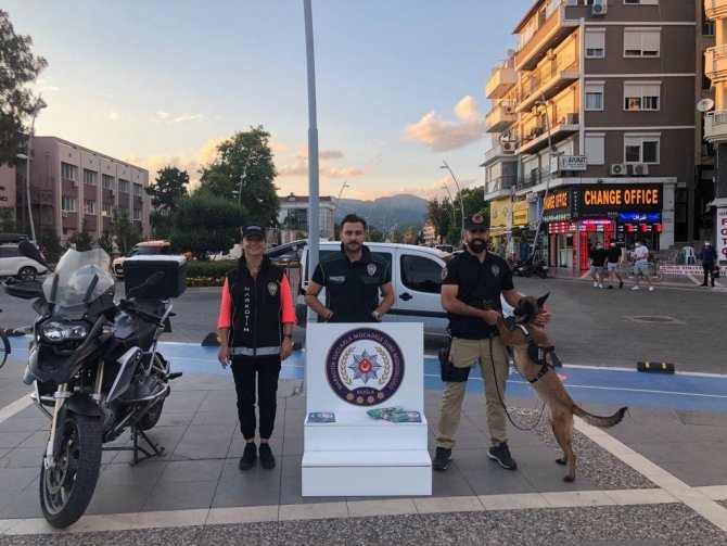 Hassas Burun ’Coco’ Yılın Köpeği Seçildi