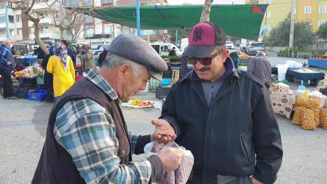 Dağlardan Gelen Şifa Kaynağı; Kuşburnu