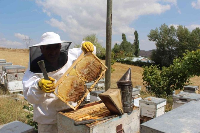 Sivas’ta 354 Projeye Tkdk Desteği