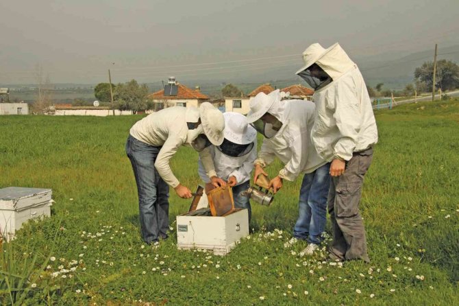 Sivas’ta 354 Projeye Tkdk Desteği