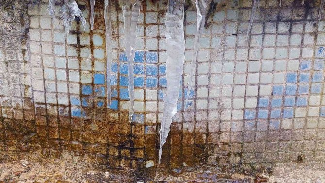 Tekirdağ’da Hayat Dondu