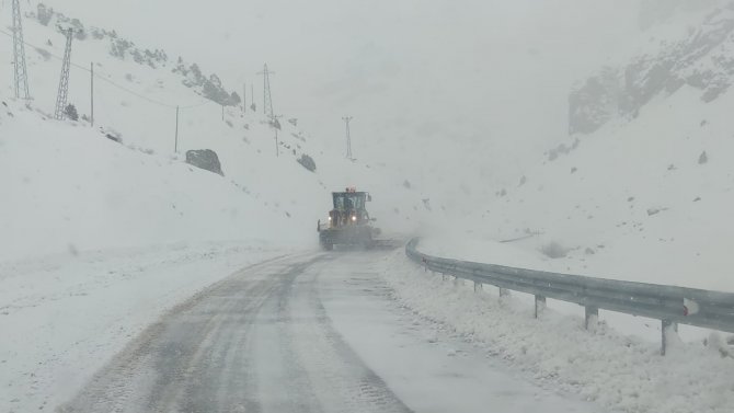 Van’da Bahçesaray Yolundaki Üç Ayrı Noktaya Çığ Düştü