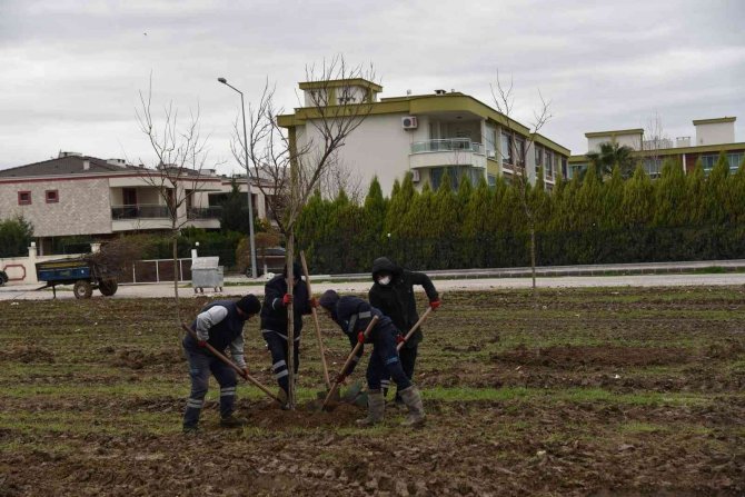 Yunusemre Belediyesi Muradiye’yi Ağaçlandırıyor