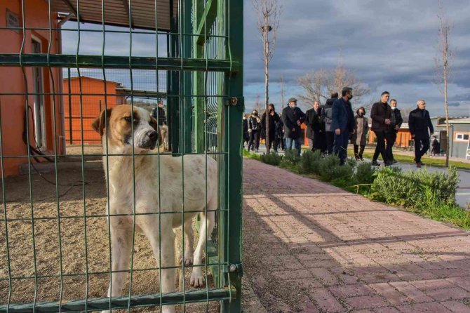 Başkan Acar Ve Muhtarlardan Proje Turu