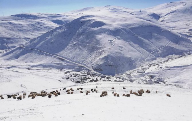 Bayburt’ta Kar Yağışı Ve Soğuk Hava