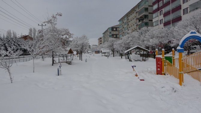 Bitlis’te 198 Köy Yolu Ulaşıma Kapandı