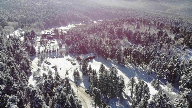 Bolu’nun Karla Kaplı Ormanları Havadan Görüntülendi