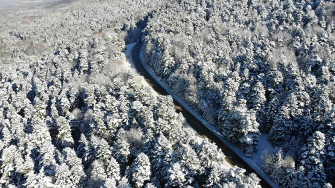 Bolu’nun Karla Kaplı Ormanları Havadan Görüntülendi
