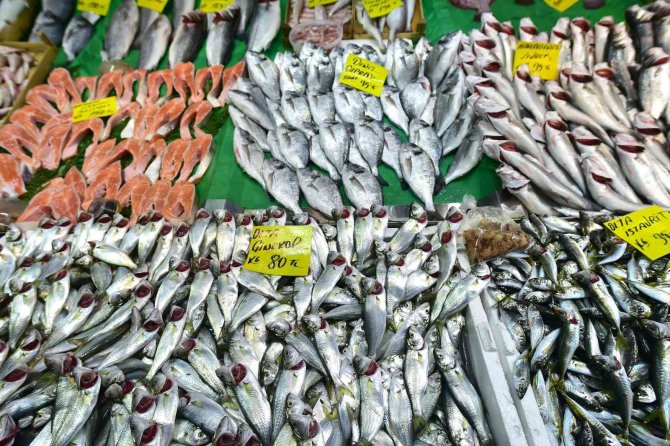 Fırtına Lüfer Getirdi