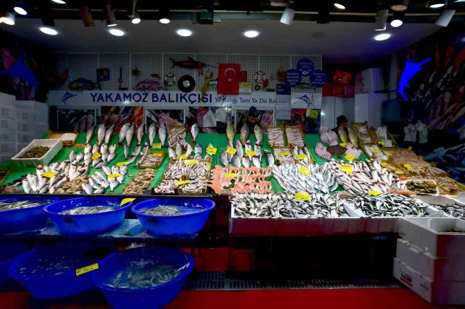 Fırtına Lüfer Getirdi