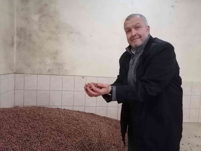 Fındık Fiyatı Haftayı 35 Liradan Kapatıyor