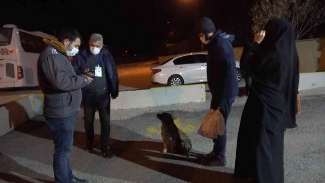 Virüslü Karı-koca Otobüste Yakalandı: "Yanlış Yaptığımı Biliyorum"